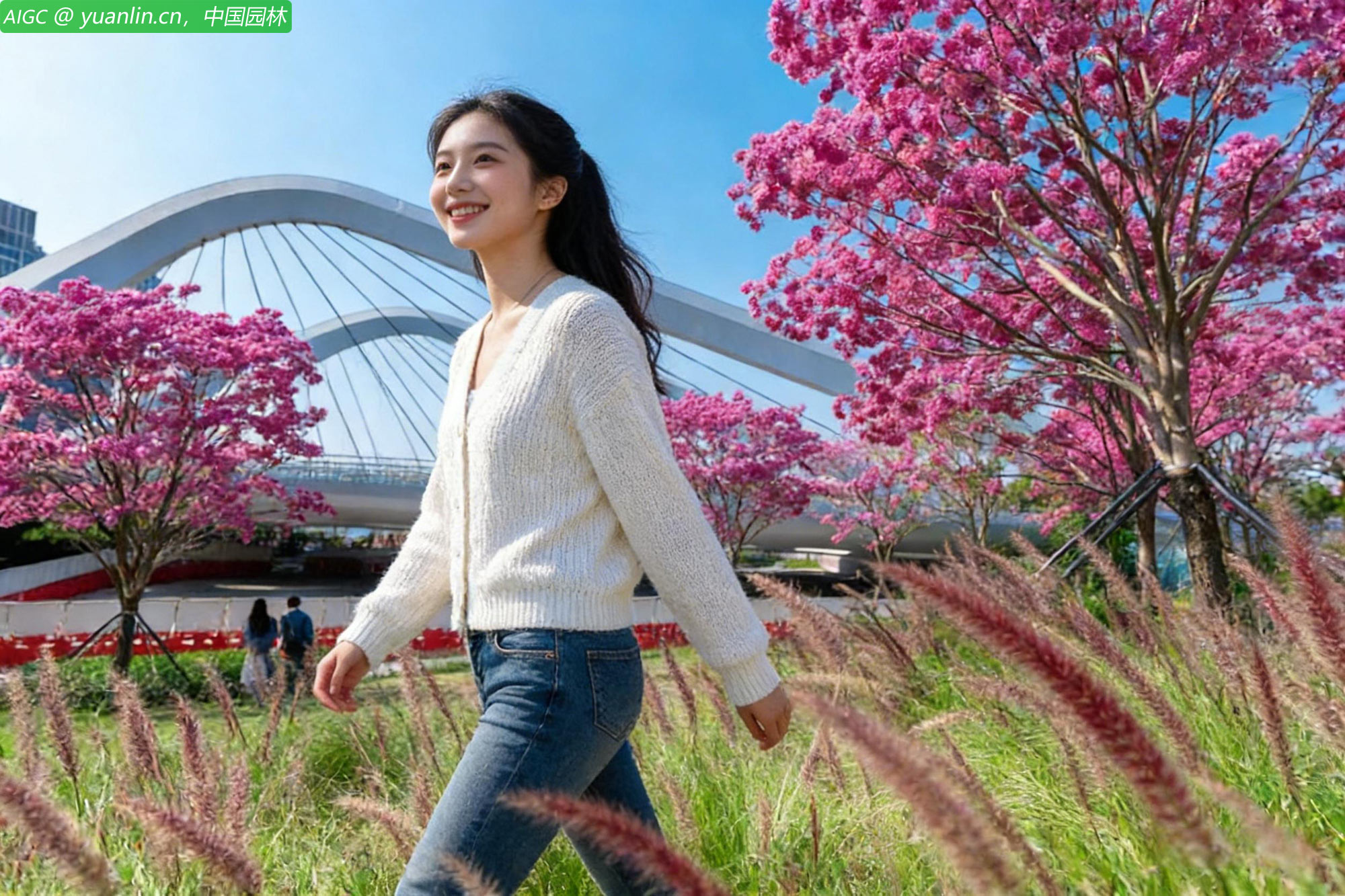 深圳南山前海桂湾公园的紫花风铃木绚烂绽放