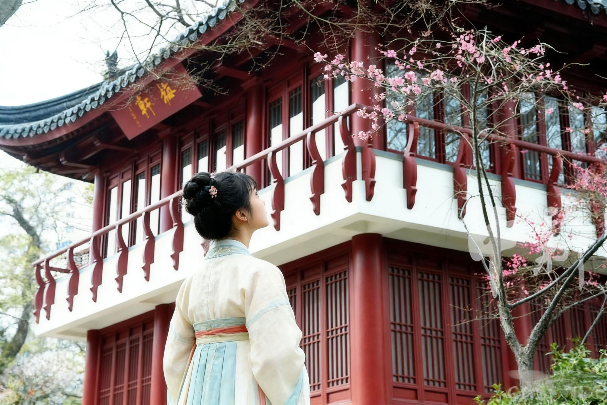 上海鲁迅公园梅园里的梅花竞相绽放