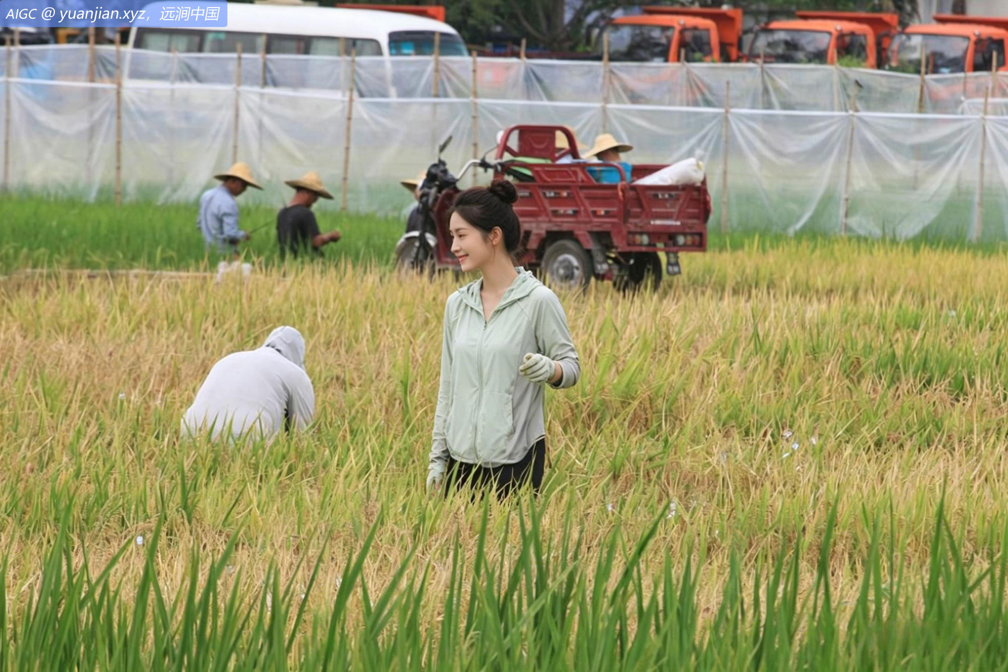 海南三亚，袁隆平杂交水稻研究基地的科研活动